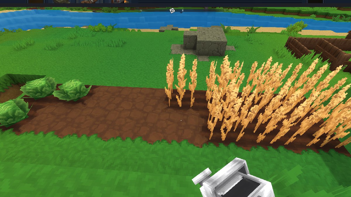 Cómo cultivar y cosechar cultivos en Hytale 13 Hytale cultiva trigo y repollo listos para la cosecha