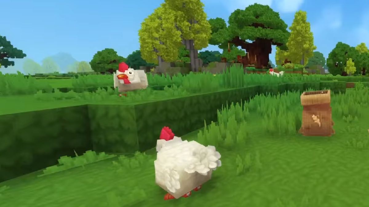 Ochoťte odchycená zvířata pomocí pytle s krmivem