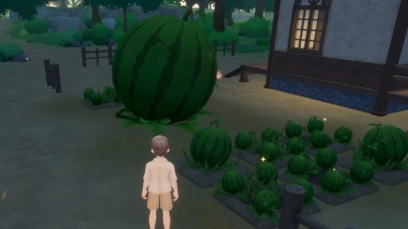 Cómo obtener un fragmento de sandía en Starsand Island
