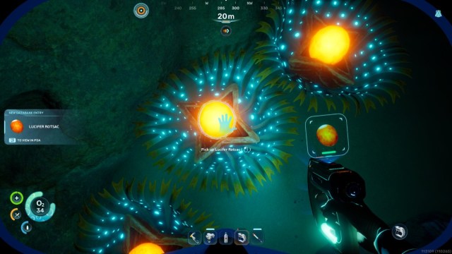 Cómo conseguir Lucifer Rotsac en Subnautica 2 7