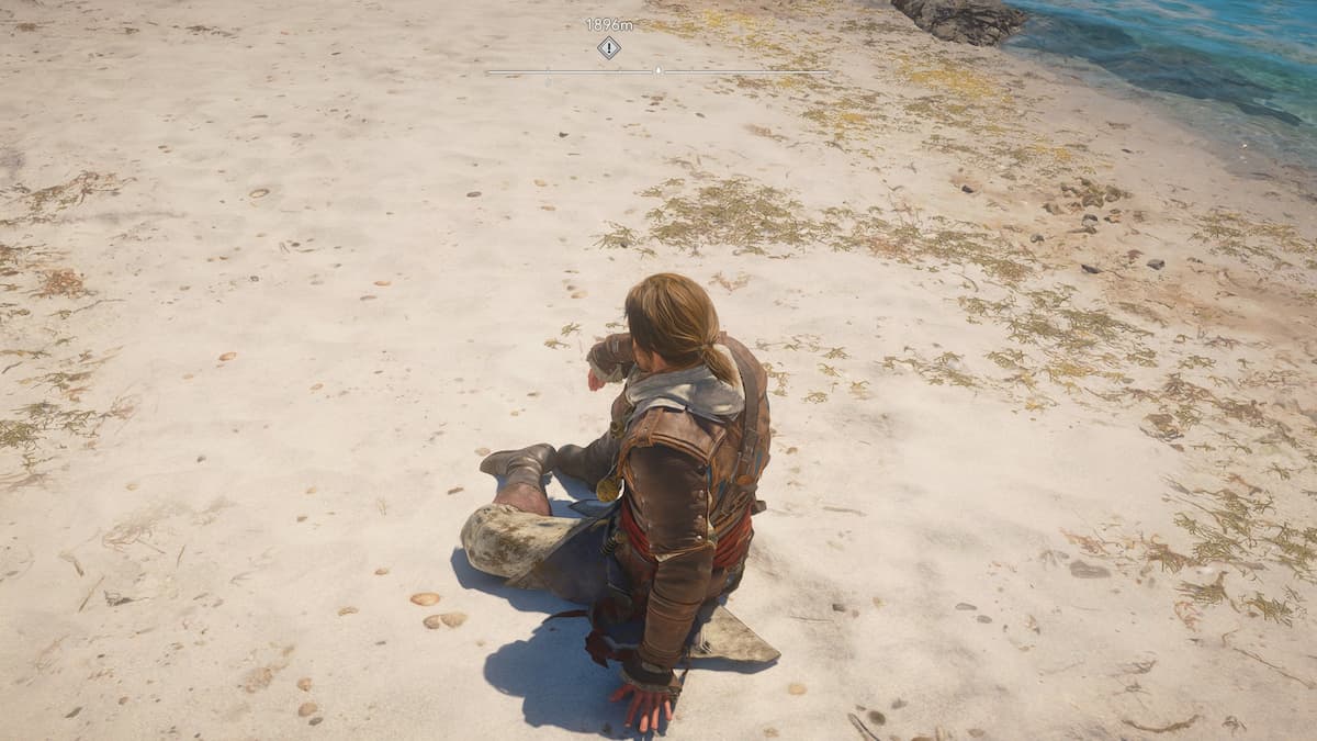 Cómo avanzar el tiempo en Assassin's Creed Black Flag resincronizado 8 Assassin's Creed Black Flag resincronizado Edward Pasando el tiempo
